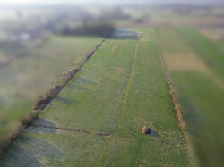 dji_fly_20240309_085536_323_1709910439179_photo