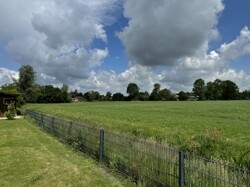 IMG_6875