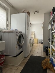 IMG_6148