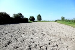 Reitplatz (auf den 3 ha Land, die zugepachtet werden können)