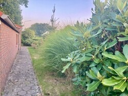 IMG_5717