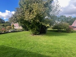 IMG_6062