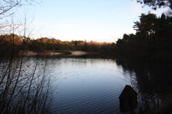IMG_4440