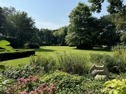 IMG_8919