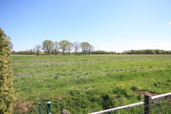 Ausblick