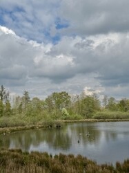IMG_0879