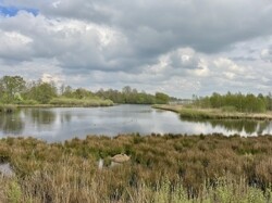 IMG_0877