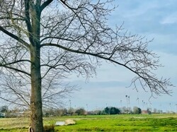 IMG_6538