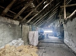 IMG_7067