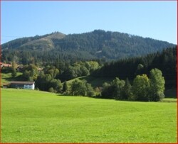 saftige Wertacher Wiesen