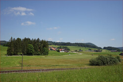 in die herrliche Allgäuer Landschaft