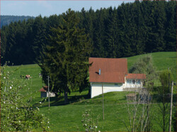 Hausansicht Frühling