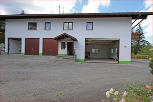 Ansicht mit offenen Garage