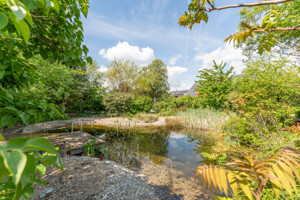 Schwimmteich