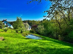 Blick zum Teich