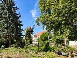 Blick in den Garten