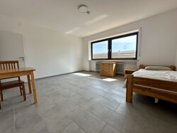 SZ Foto 1