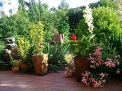 Terrasse Sommer