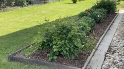 Garten_01