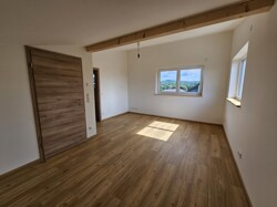Zimmer DG