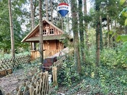 eigener Wald 