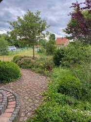 Ausblick in den Garten