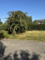 Blick Richtung Westen