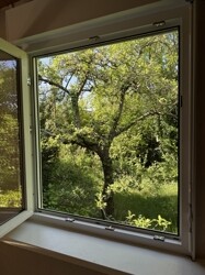 Apfelbaum  am Haus