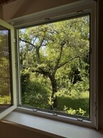 Apfelbaum  am Haus