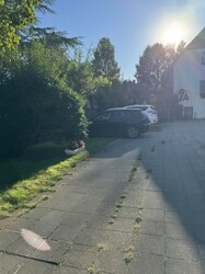 IMG_8008