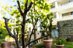 Immobilienbild