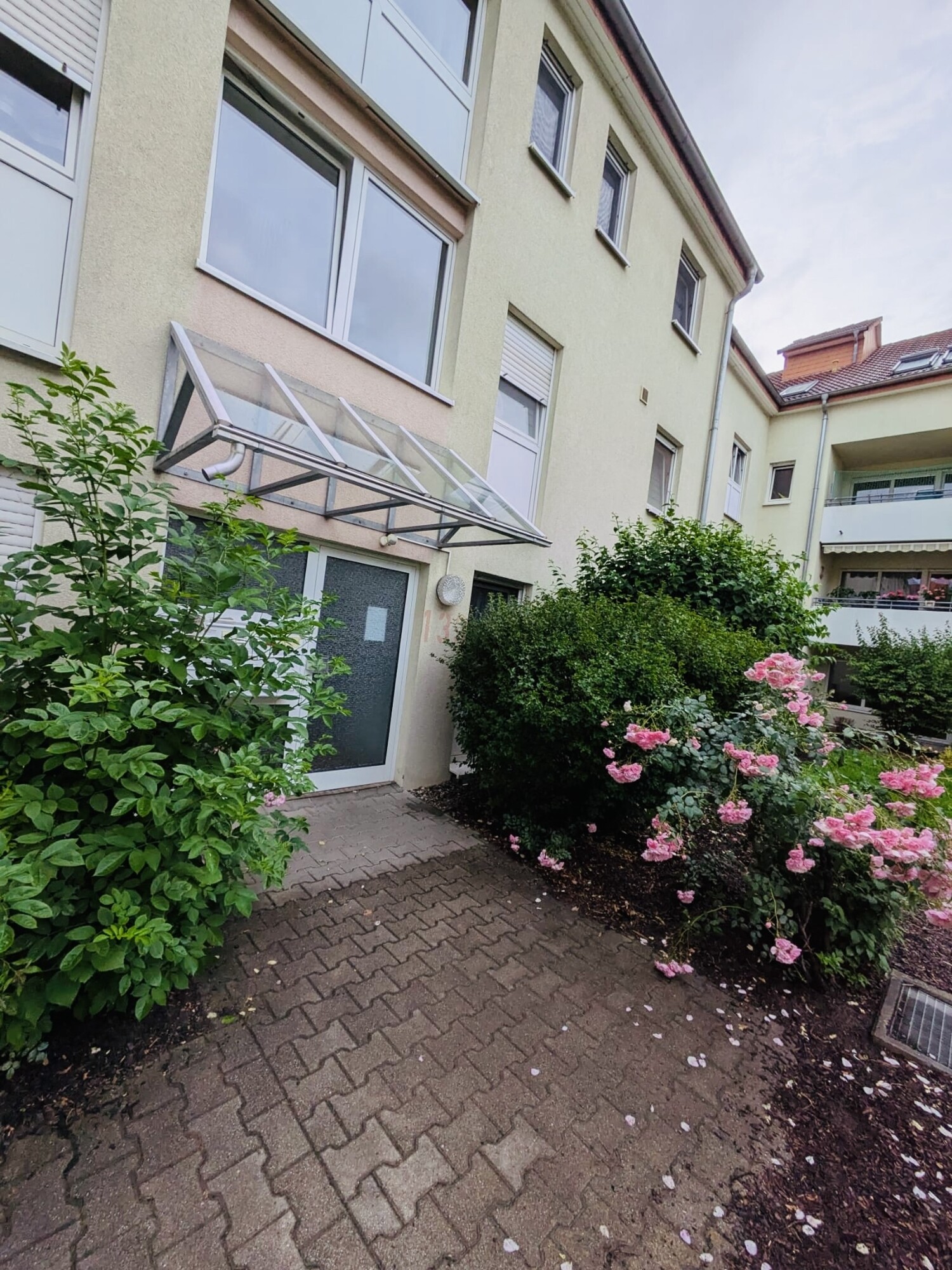 Ruchheim3