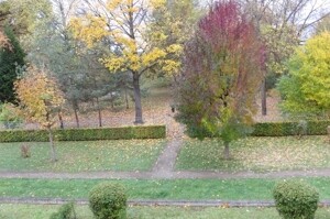 Blick in den Park