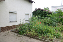 Blick in den Garten