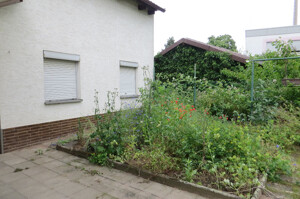 Blick in den Garten
