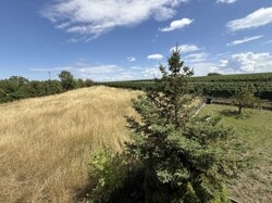 Aussicht vom Balkon