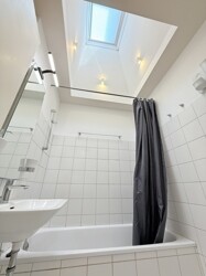 Badezimmer Dachgenster Elektrisch
