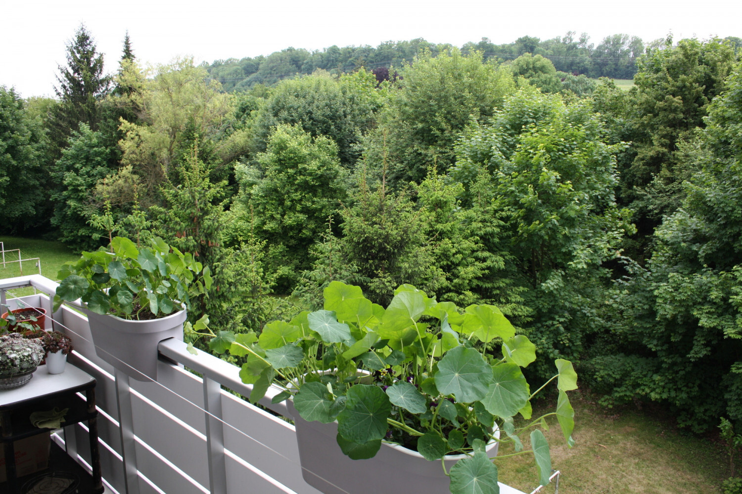 Blick vom Balkon