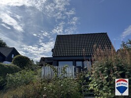 IMG_5089