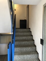 IMG_8261