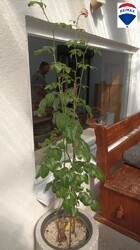 IMG_20220820_152134