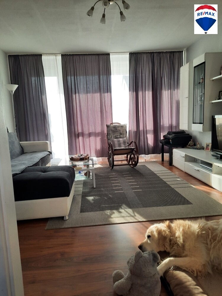 Immobilienbild