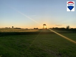 Blick ins Grüne