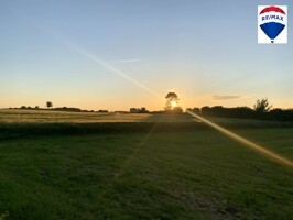 Blick ins Grüne