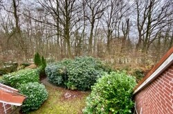 Blick in den Garten