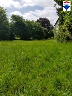 Immobilienbild