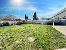 Garten_1