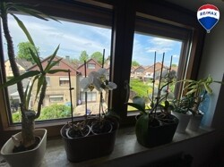 DG Ausblick