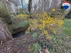 Bachlauf