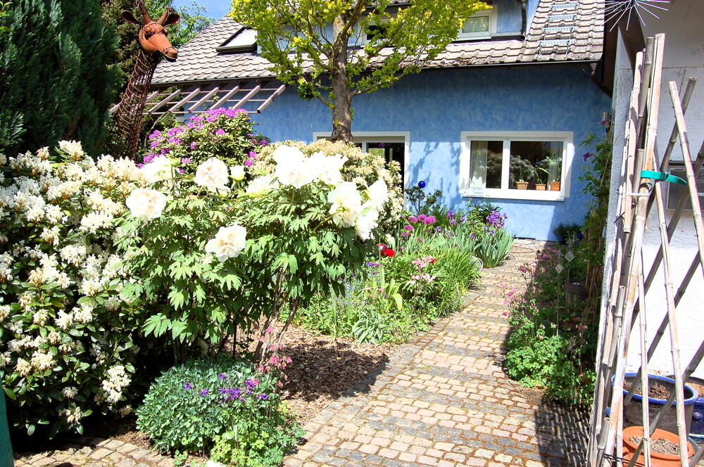 Eingangsbereich BLick auf Haus Südseite